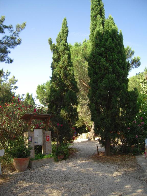 Manade Cavallini - Mas De Pioch Saintes-Maries-de-la-Mer Exteriér fotografie